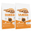 IAMS for Vitality mit Huhn für Kätzchen 20 kg (2 x 10 kg)