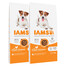IAMS ProActive Health Adult Small & Medium Breed Chicken 24 kg (2 x 12 kg)