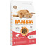 IAMS Cat Adult All Breeds Salmon mit Lachs und Huhn 3 kg