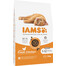 IAMS Cat Kitten & Junior All Breeds Chicken 10 kg