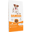 IAMS ProActive Health Adult Small & Medium Breed Chicken 12 kg
