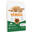 IAMS for Vitality mit Lammfleisch für adulte Katzen 10kg