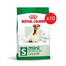 ROYAL CANIN MINI Adult 8+ Trockenfutter für ältere kleine Hunde 8 kg (10 x 0,8 kg)
