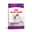 ROYAL CANIN GIANT Adult Trockenfutter für sehr große Hunde 15 kg
