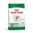 ROYAL CANIN MINI Ageing 12+ Trockenfutter für ausgewachsene Hunde, kleine Rassen 800 g