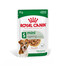 ROYAL CANIN Mini ageing 12+ 24x85 g