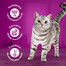 WHISKAS Adult 40x85g Poultry Flavours - Katzenfutter in Gelee (Huhn, Ente, Geflügel, Pute)
