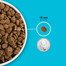 ACANA Pacifica Dog 6 kg
