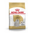 ROYAL CANIN Maltese Adult Hundefutter trocken 500 g