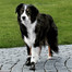TRIXIE Pfotenschutz Walker Active, M-L, 2 ks