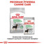 ROYAL CANIN Digestive Care Hund - Mousse 12 x 85 g