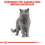 ROYAL CANIN British Shorthair Katzenfutter trocken für Britisch Kurzhaar 4 kg