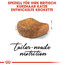 ROYAL CANIN British Shorthair Katzenfutter trocken für Britisch Kurzhaar 2 kg