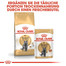 ROYAL CANIN British Shorthair Katzenfutter trocken für Britisch Kurzhaar 4 kg
