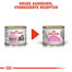 ROYAL CANIN MOTHER & BABYCAT Mousse für tragende Katzen und Kitten 195 g