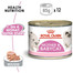 ROYAL CANIN MOTHER & BABYCAT Mousse für tragende Katzen und Kitten 195 g