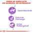 ROYAL CANIN STERILISED Trockenfutter für kastrierte Katzen 10 kg