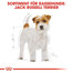 ROYAL CANIN Jack Russell Terrier Adult Hundefutter trocken 7,5 kg