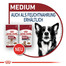 ROYAL CANIN MEDIUM Ageing 10+ Trockenfutter für ausgewachsene Hunde, mittlere Rassen 15 kg