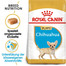 ROYAL CANIN Chihuahua Puppy Welpenfutter trocken 500 g