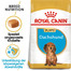 ROYAL CANIN Dachshund Puppy Welpenfutter trocken für Dackel 1,5 kg