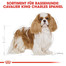 ROYAL CANIN Cavalier King Charles Adult Hundefutter trocken 1,5 kg