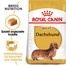 ROYAL CANIN Dachshund Adult Hundefutter trocken für Dackel 7,5 kg