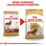 ROYAL CANIN Dachshund Adult Hundefutter trocken für Dackel 1,5 kg