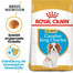 ROYAL CANIN Cavalier King Charles Puppy Welpenfutter trocken 1,5 kg