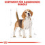 ROYAL CANIN Beagle Adult Hundefutter trocken 12 kg