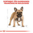 ROYAL CANIN French Bulldog Adult Hundefutter trocken für Französische Bulldoggen 1,5 kg