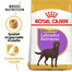ROYAL CANIN Labrador Retriever Adult Sterilised Trockenfutter für kastrierte Hunde 12 kg