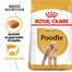 ROYAL CANIN Poodle Adult Hundefutter trocken für Pudel 1,5 kg