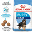 ROYAL CANIN MAXI Puppy Welpenfutter trocken für große Hunde 1 kg