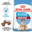 ROYAL CANIN MEDIUM Starter für tragende Hündin und Welpen 4 kg