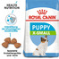 ROYAL CANIN X-SMALL Puppy Welpenfutter trocken für sehr kleine Hunde 1,5 kg