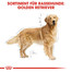 ROYAL CANIN Golden Retriever Adult Hundefutter trocken 12 kg