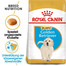 ROYAL CANIN Golden Retriever Puppy Welpenfutter trocken 1 kg