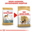 ROYAL CANIN German Shepherd Adult Hundefutter trocken für Deutsche Schäferhunde 11 kg