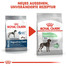 ROYAL CANIN MAXI Digestive Care Trockenfutter für große Hunde mit empfindlicher Verdauung 3 kg
