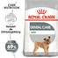 ROYAL CANIN DENTAL CARE MINI Trockenfutter für kleine Hunde mit empfindlichen Zähnen 3 kg