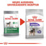 ROYAL CANIN STERILISED MINI Trockenfutter für kastrierte kleine Hunde 1 kg