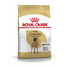 ROYAL CANIN Great Dane Adult Hundefutter trocken für Deutsche Doggen 12 kg