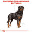 ROYAL CANIN Rottweiler Adult Hundefutter trocken 12 kg