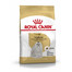 ROYAL CANIN Maltese Adult Hundefutter trocken 1,5 kg