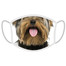 FERA Schutzmaske Yorkshire Terrier