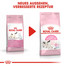 ROYAL CANIN MOTHER & BABYCAT Katzenfutter für tragende Katzen und Kitten 400 g