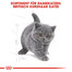 ROYAL CANIN British Shorthair Kittenfutter trocken für BKH Kätzchen 2 kg