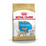 ROYAL CANIN Chihuahua Puppy Welpenfutter trocken 500 g