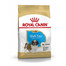 ROYAL CANIN Shih Tzu Puppy Welpenfutter trocken 500 g